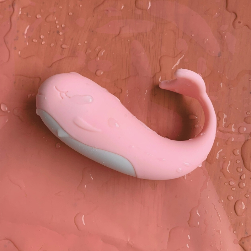 Trứng Rung Cá Voi Little Whale