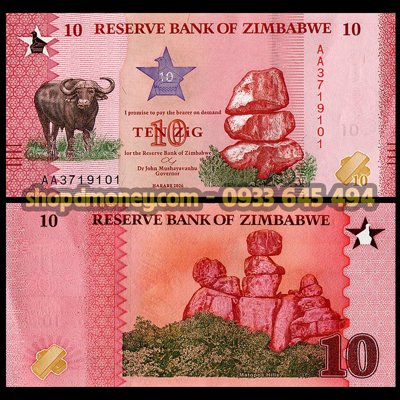 10 zig Zimbabwe 2026
