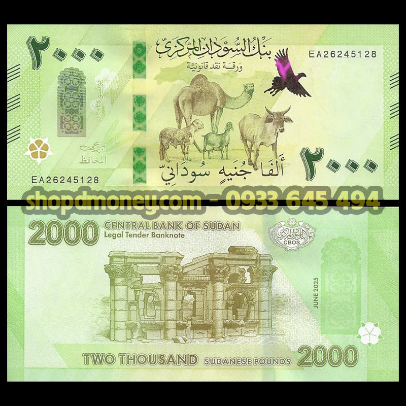 2000 pounds Sudan 2026