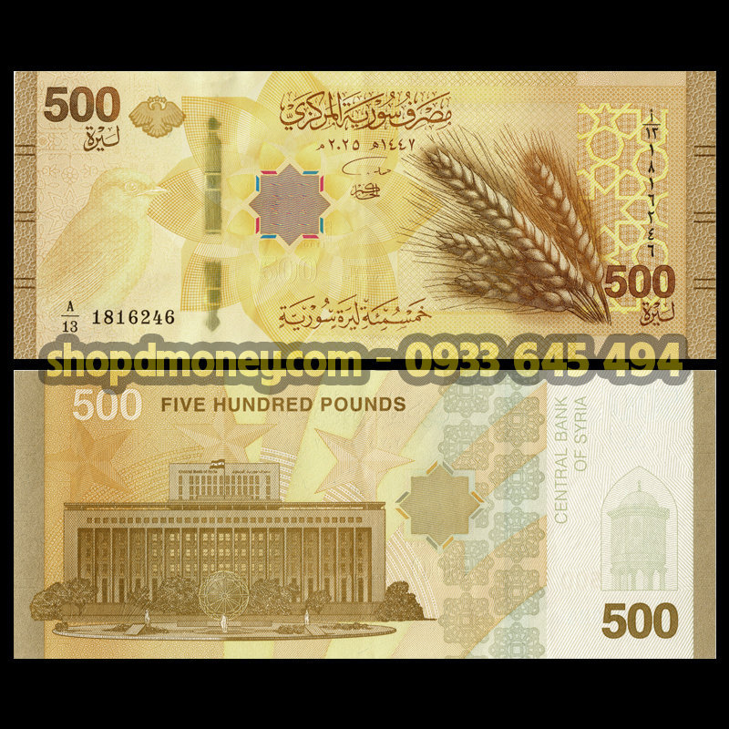 500 pounds Syria 2026
