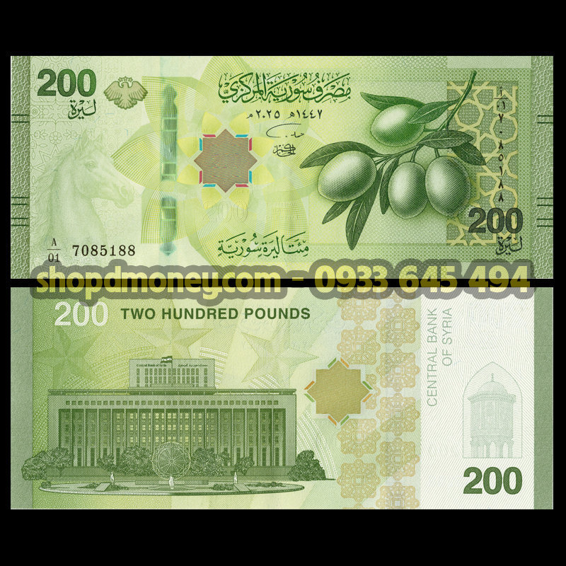 200 pounds Syria 2026