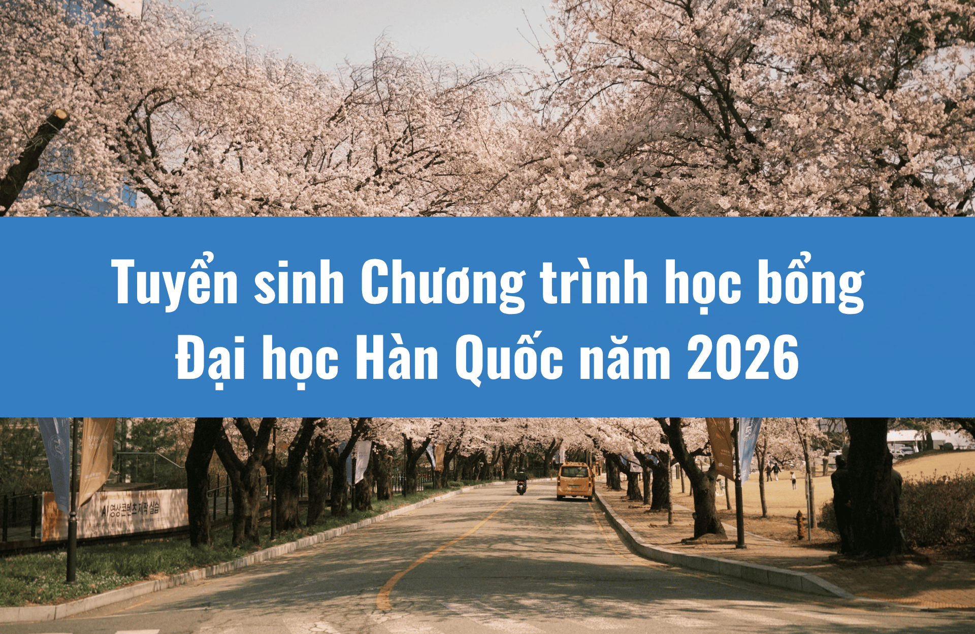 Tuyển sinh Chương trình học bổng đi học đại học và sau đại học tại Hàn Quốc năm 2026