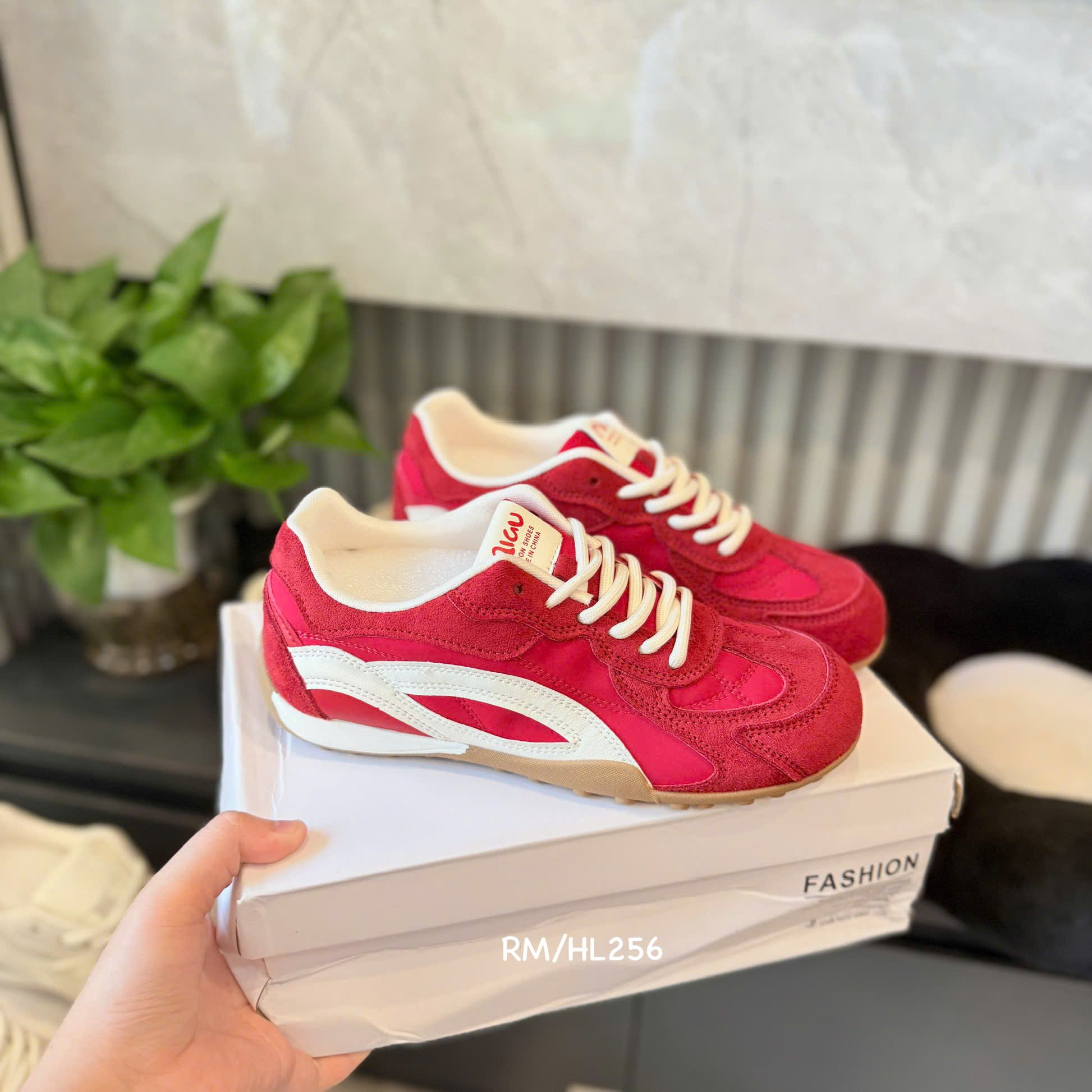 (QC) giày thể thao  HL256