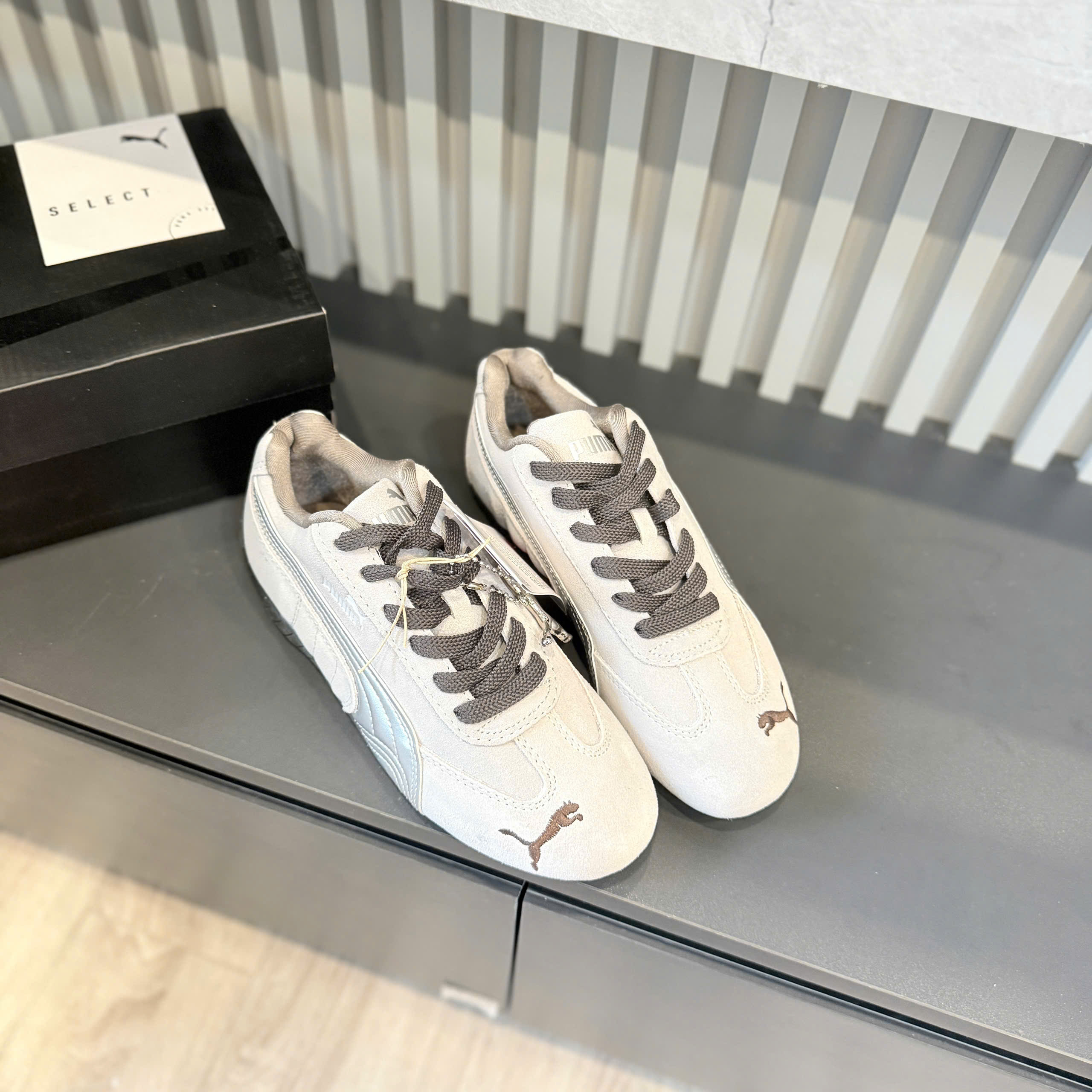 puma speedcat xám bạc