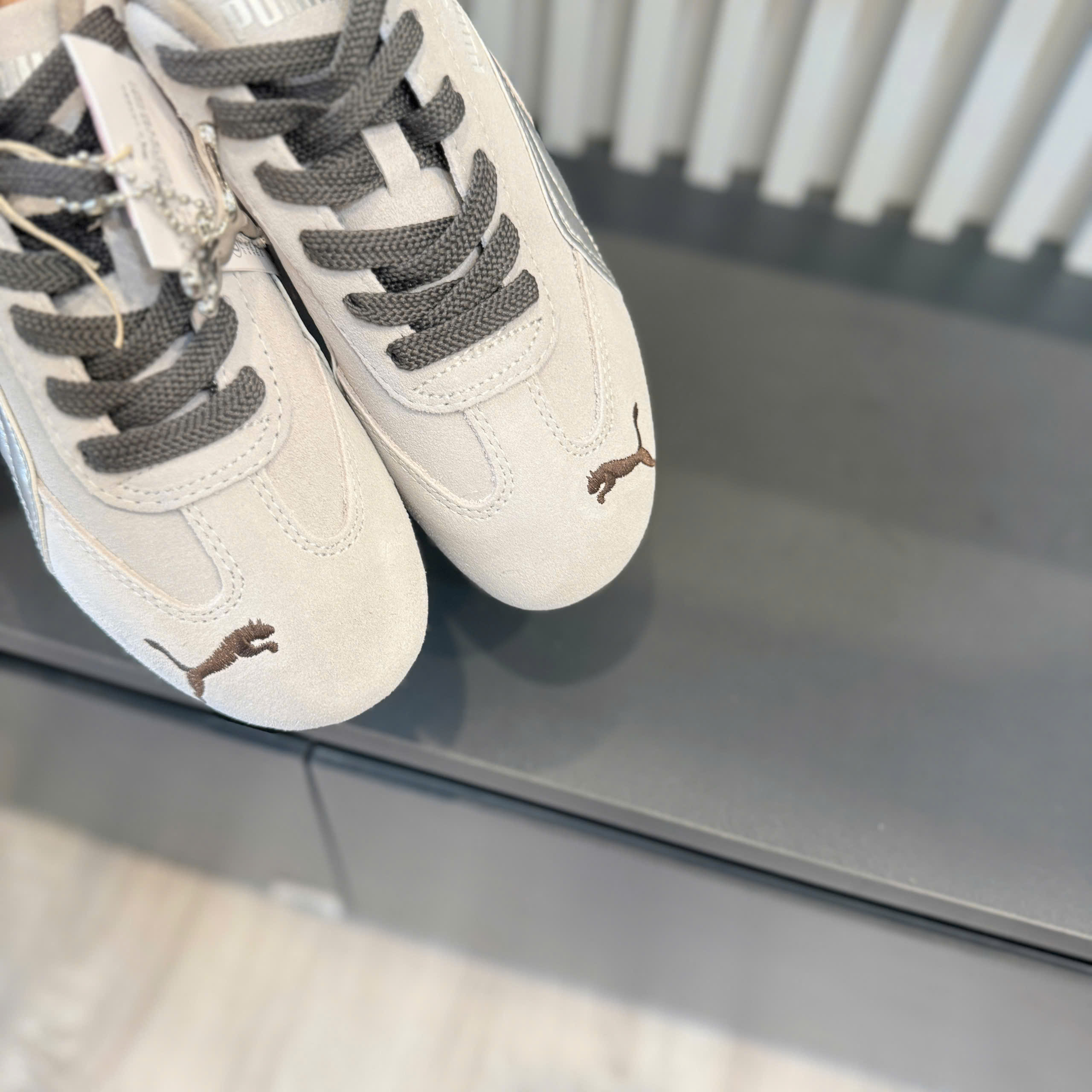 puma speedcat xám bạc