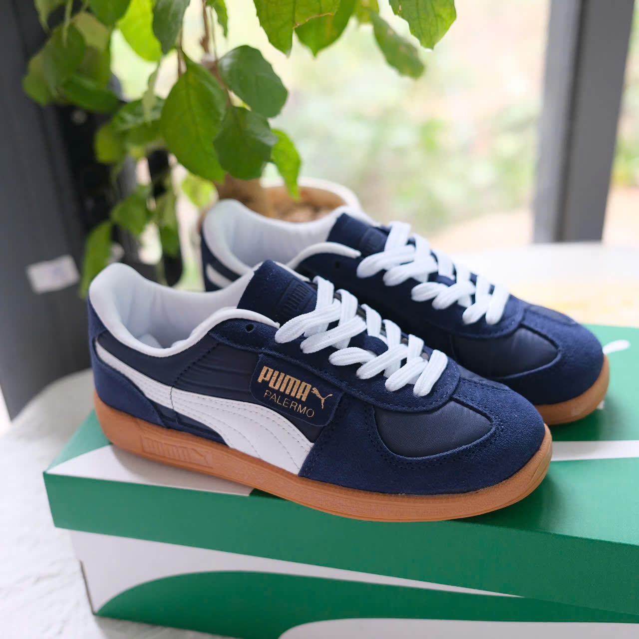 puma palermo xthan