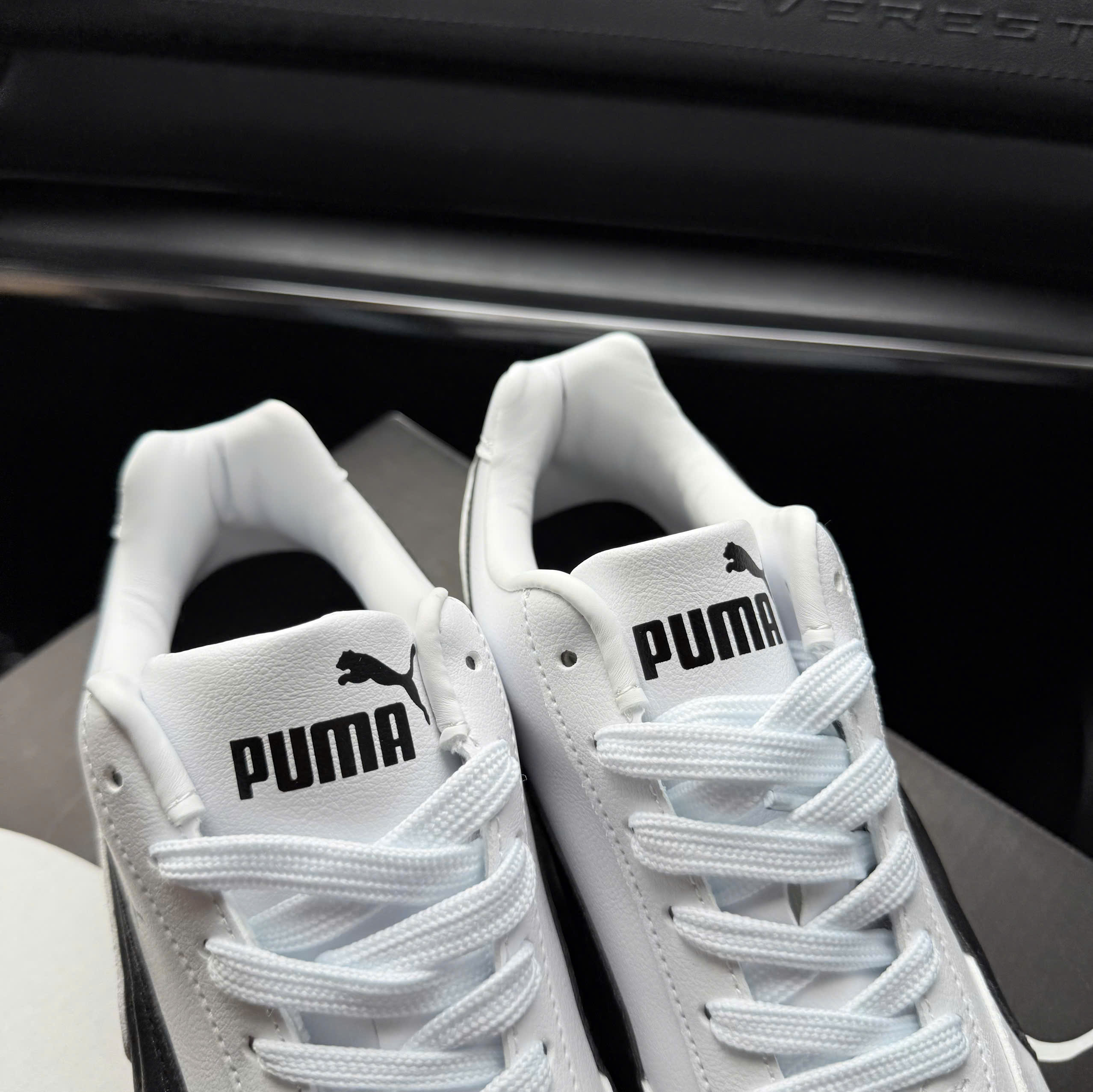 puma speedcat trắng đen