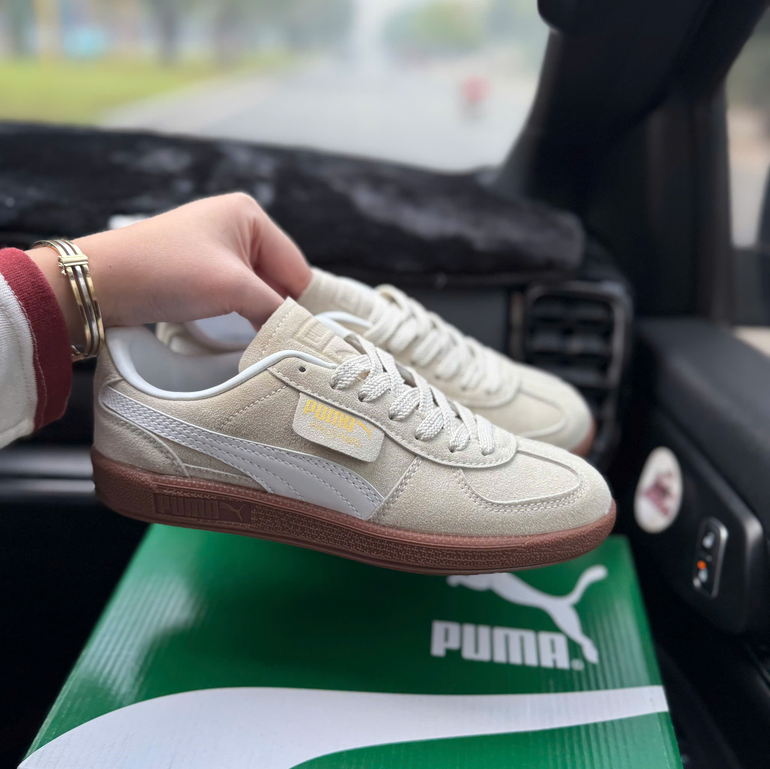 puma palermo be