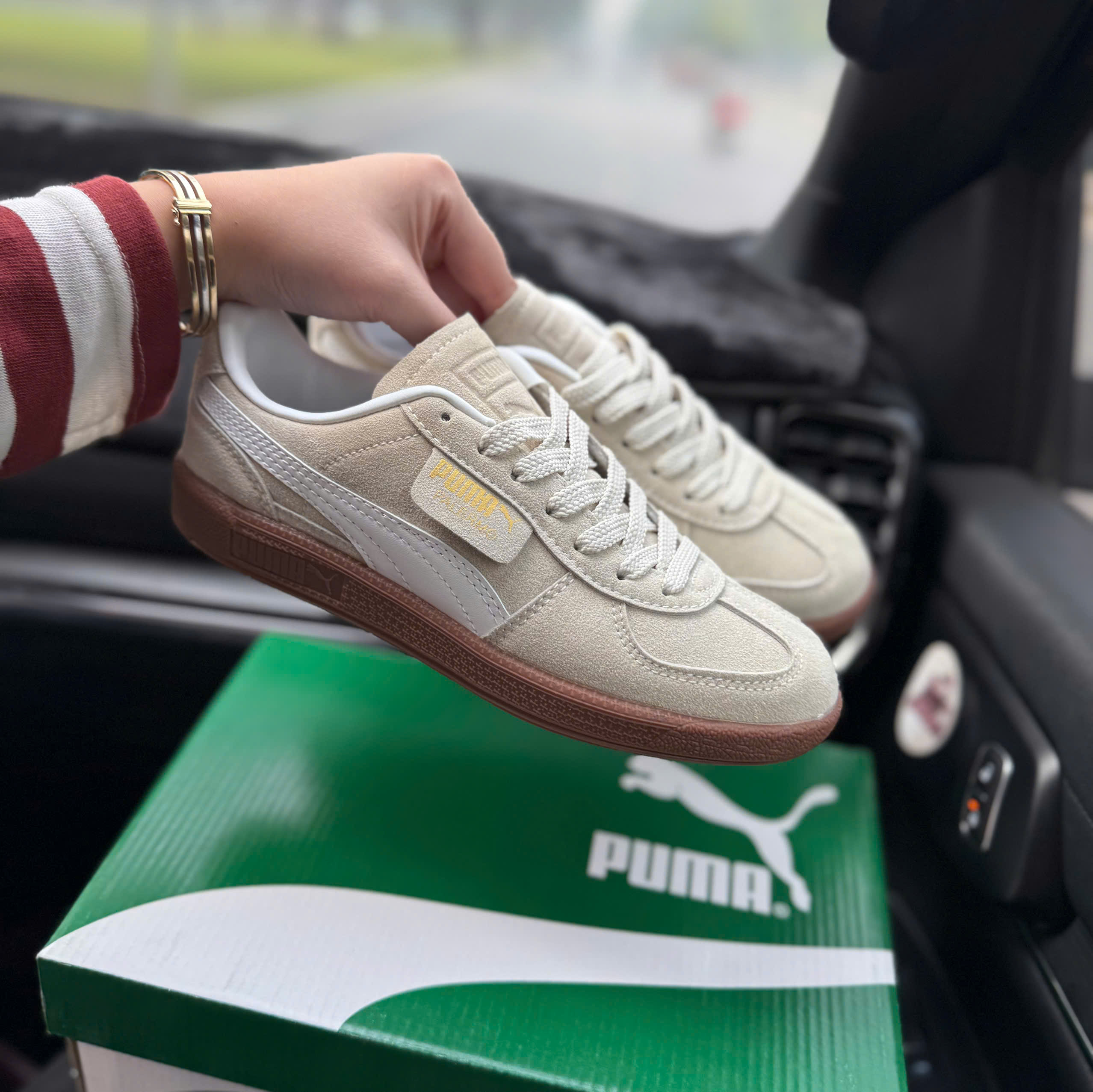puma palermo be