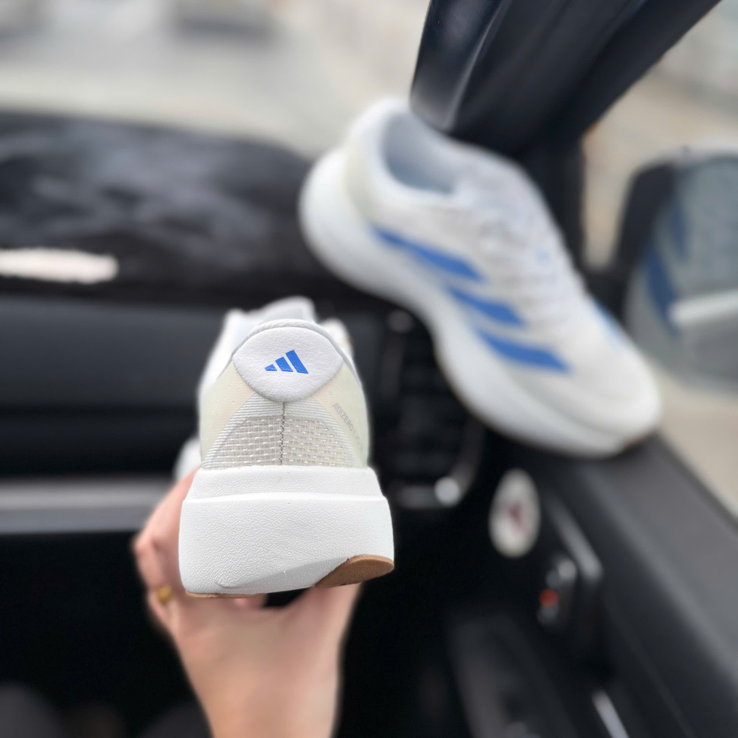 adizero evo trắng xanh