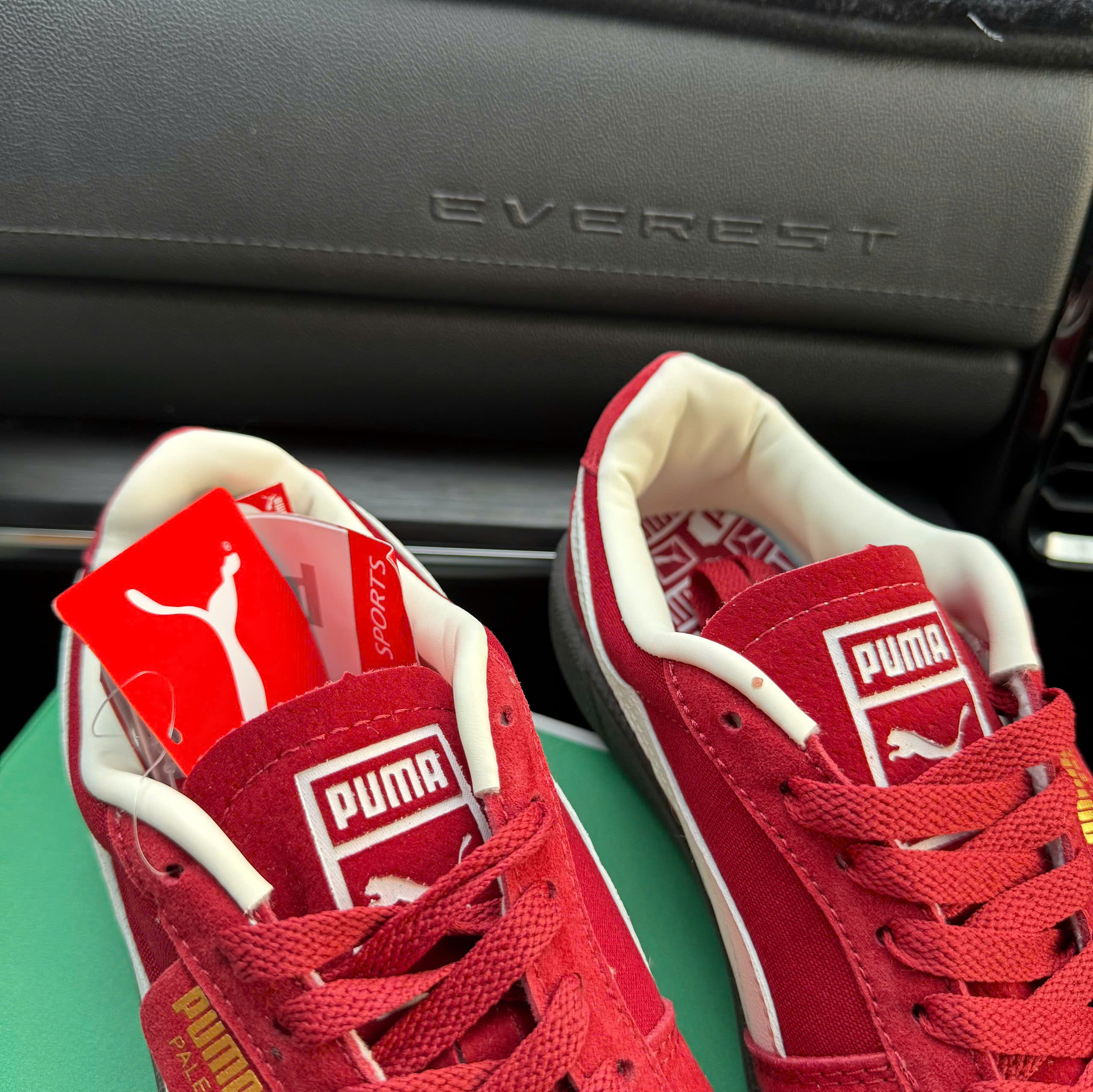 puma palermo đỏ mận