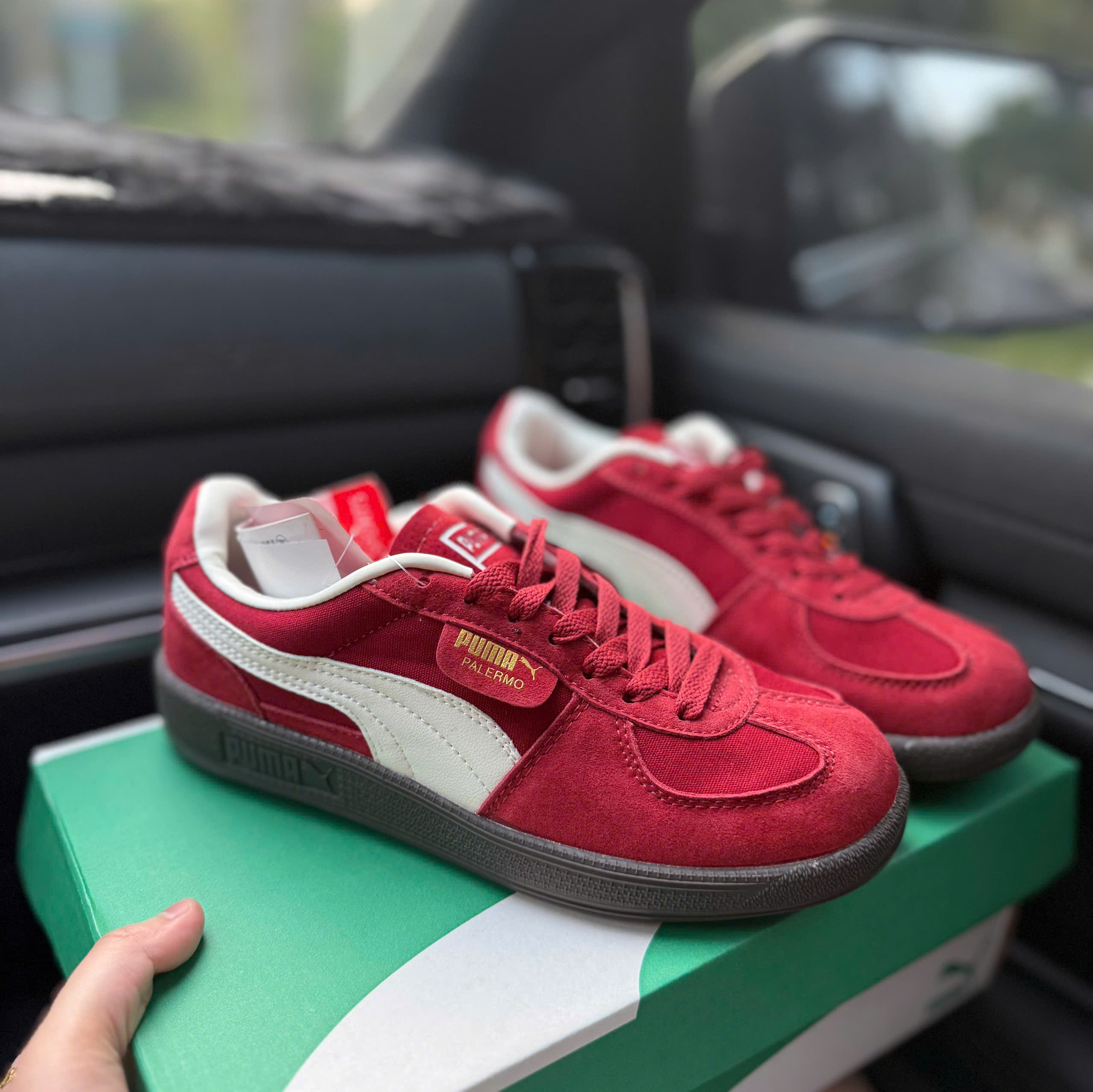 puma palermo đỏ mận