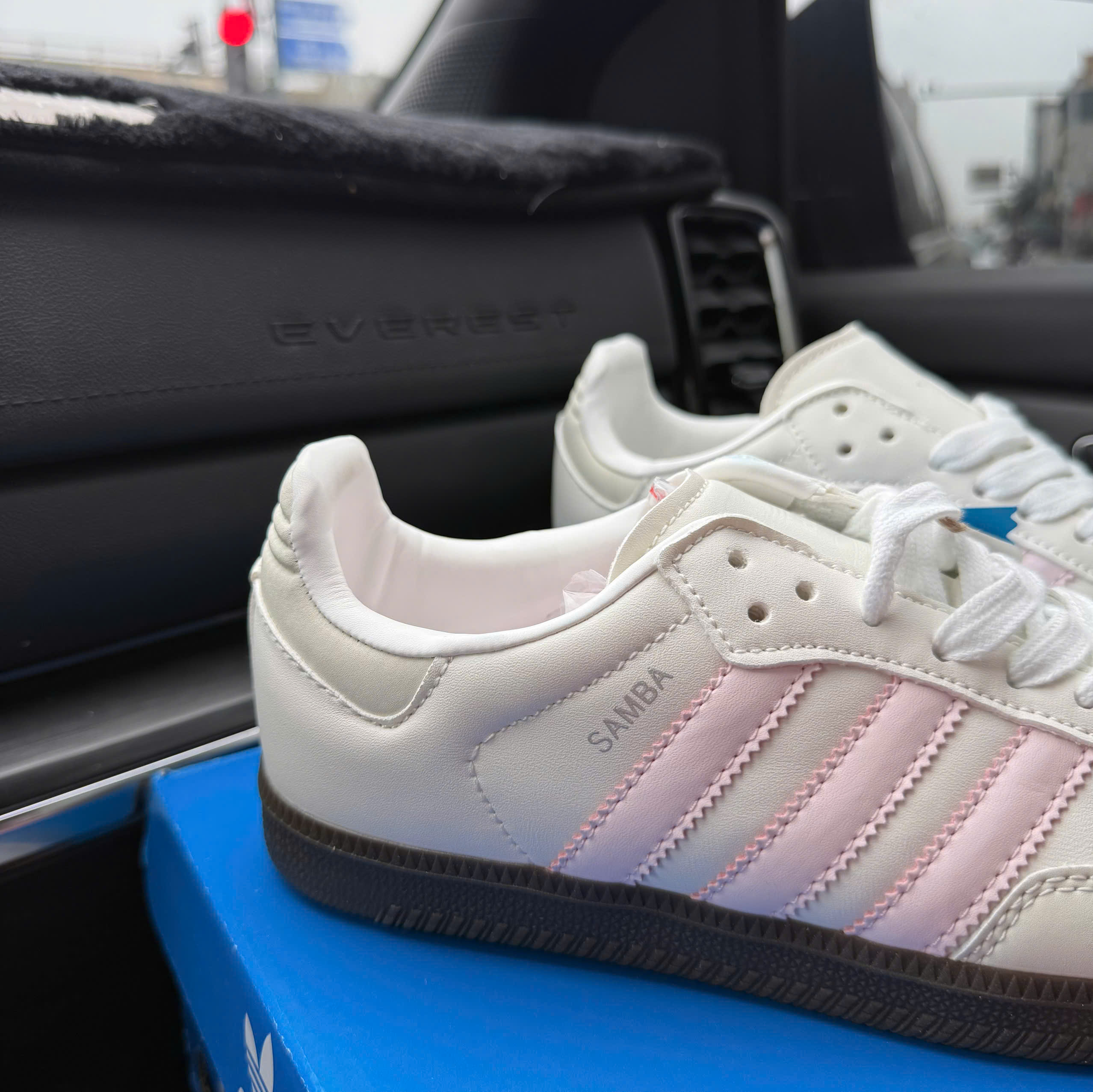 samba trắng hồng (nhạt)