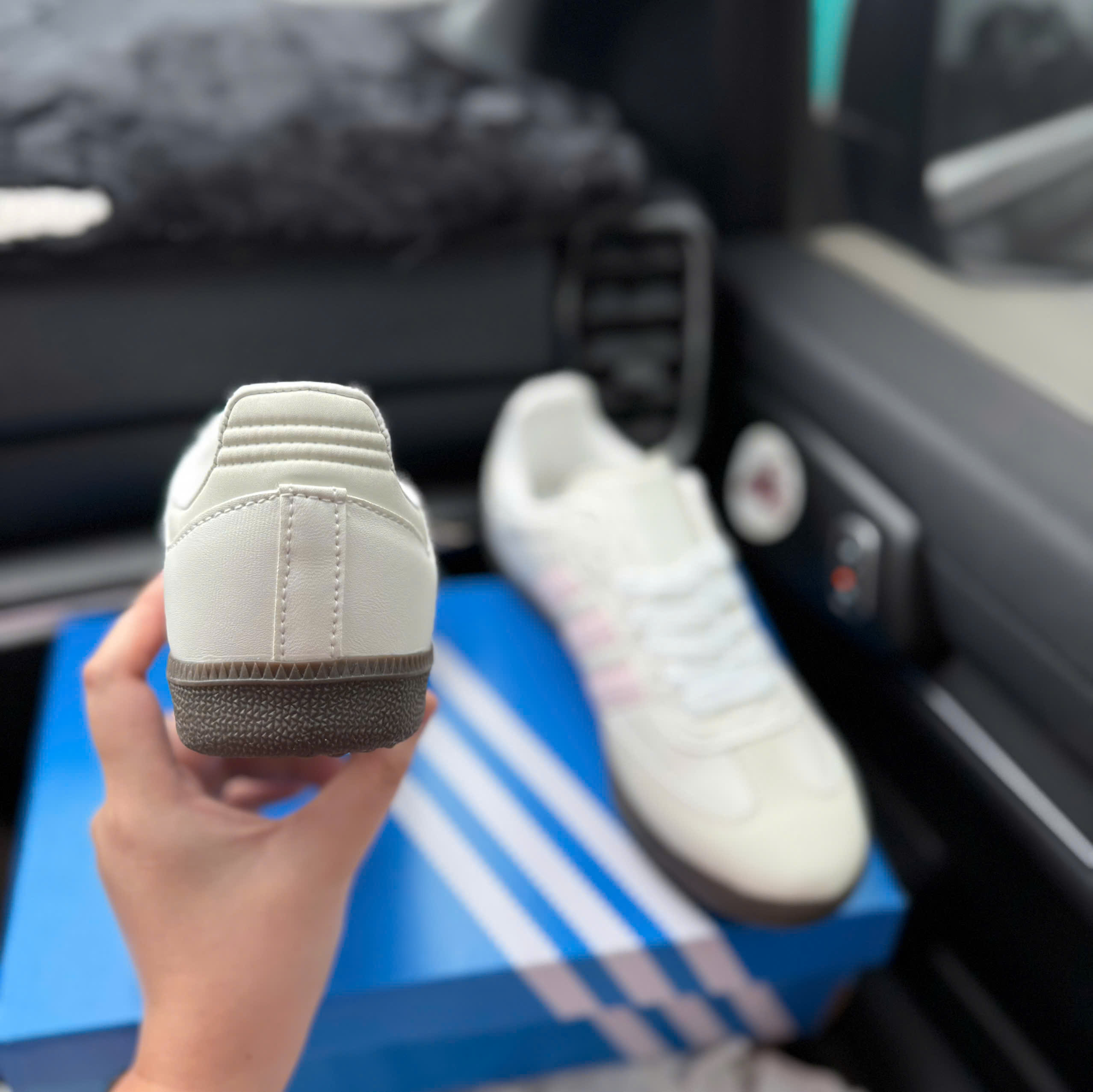 samba trắng hồng (nhạt)