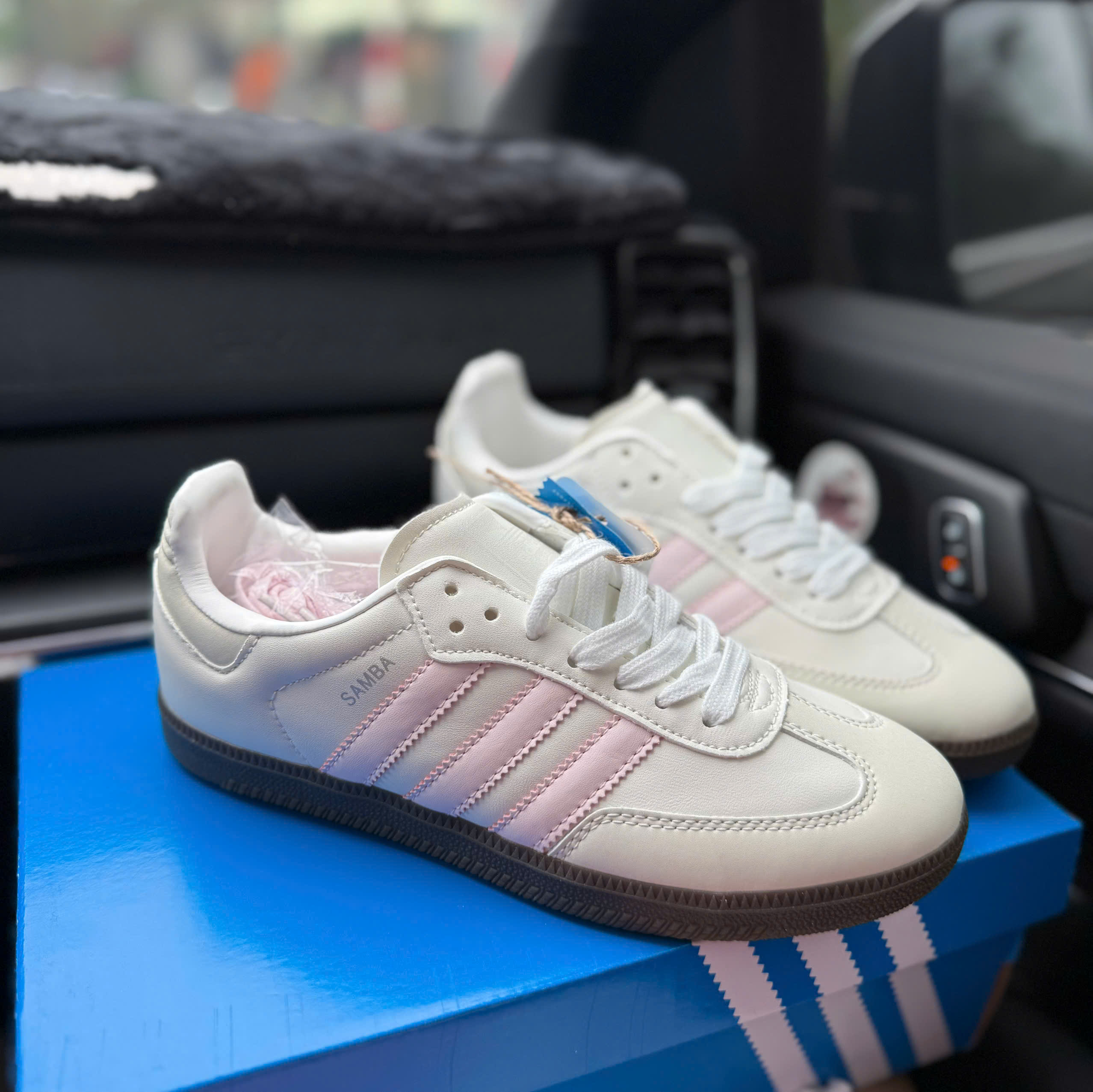 samba trắng hồng (nhạt)