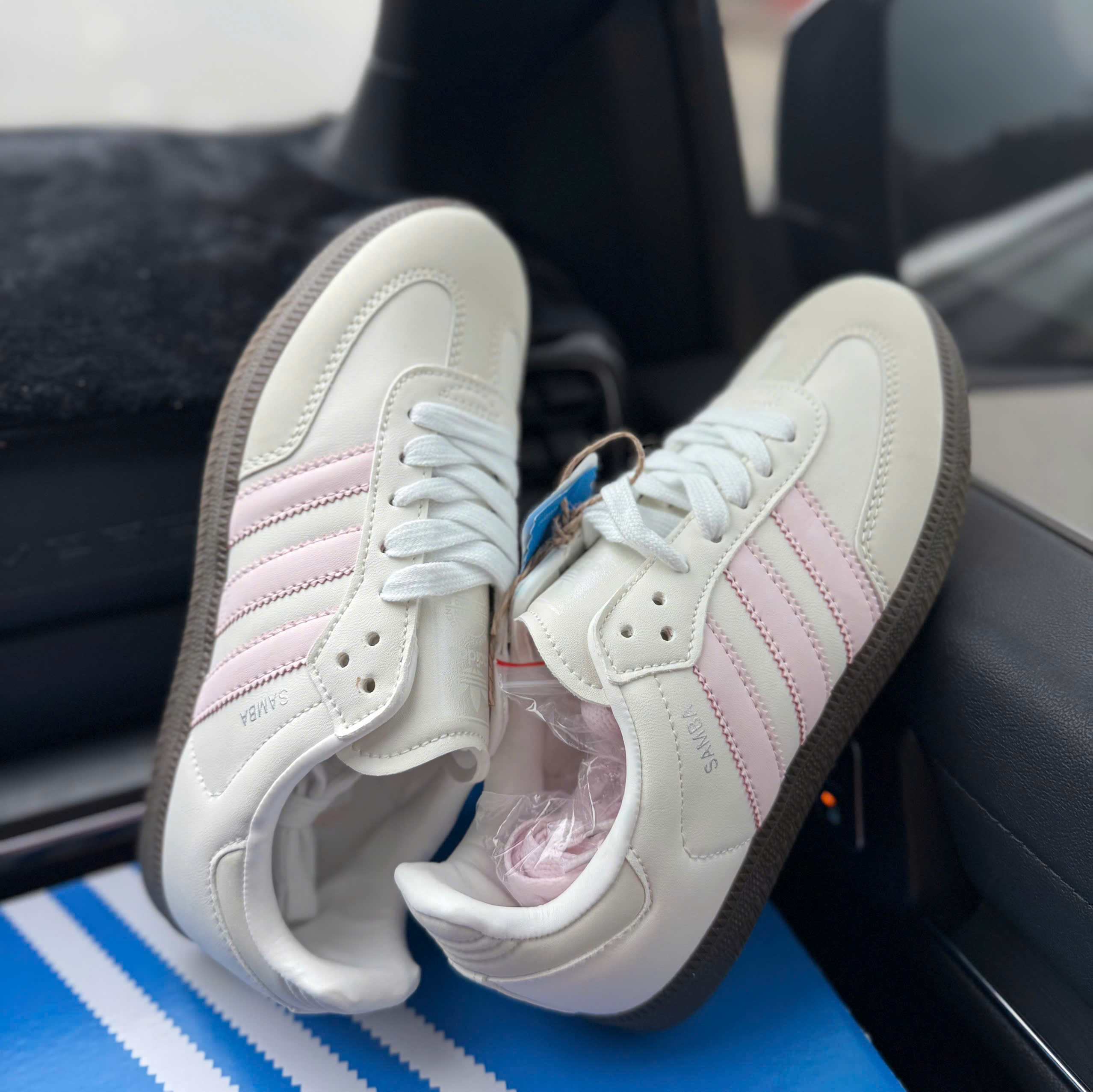 samba trắng hồng (nhạt)