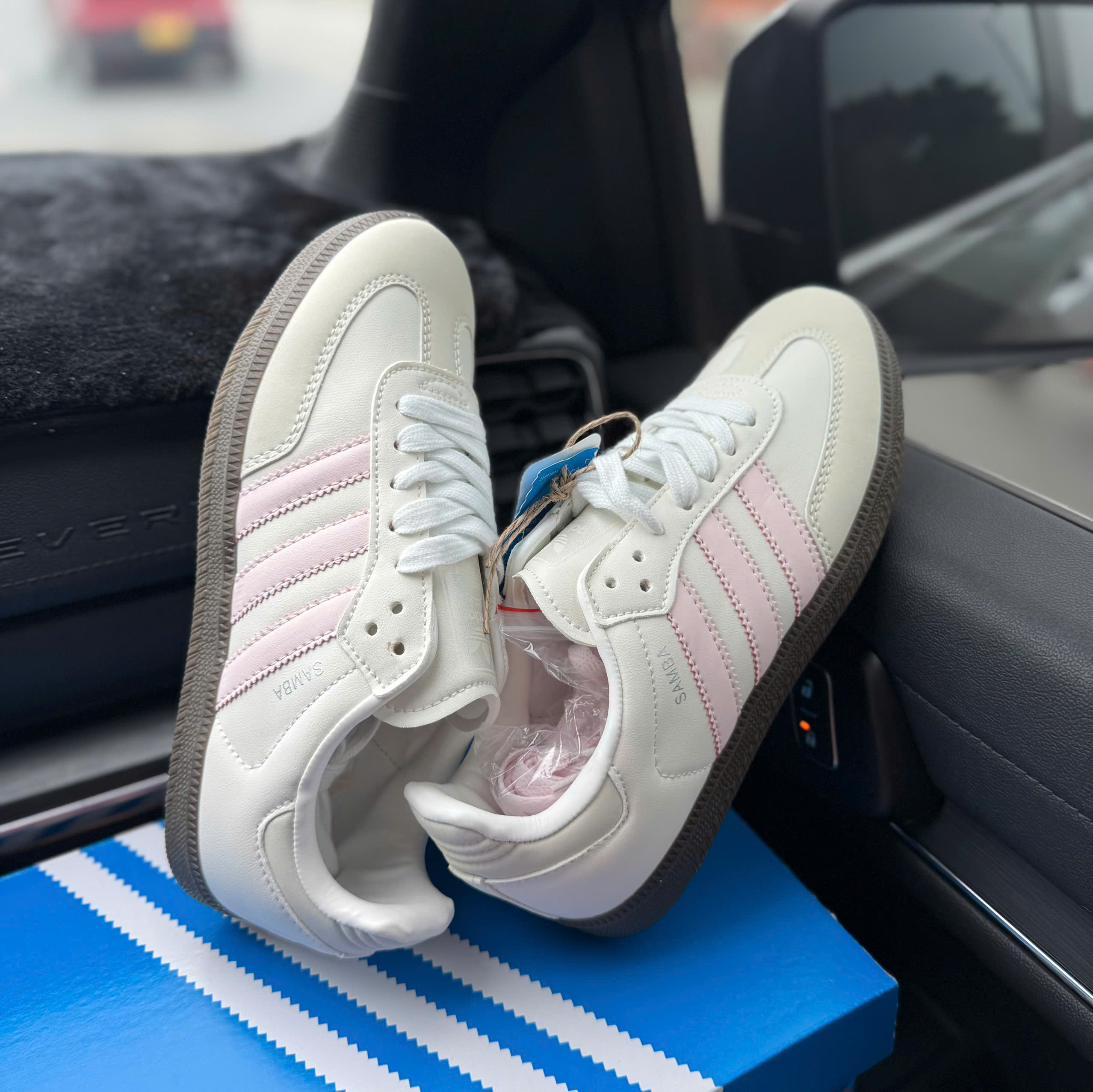 samba trắng hồng (nhạt)