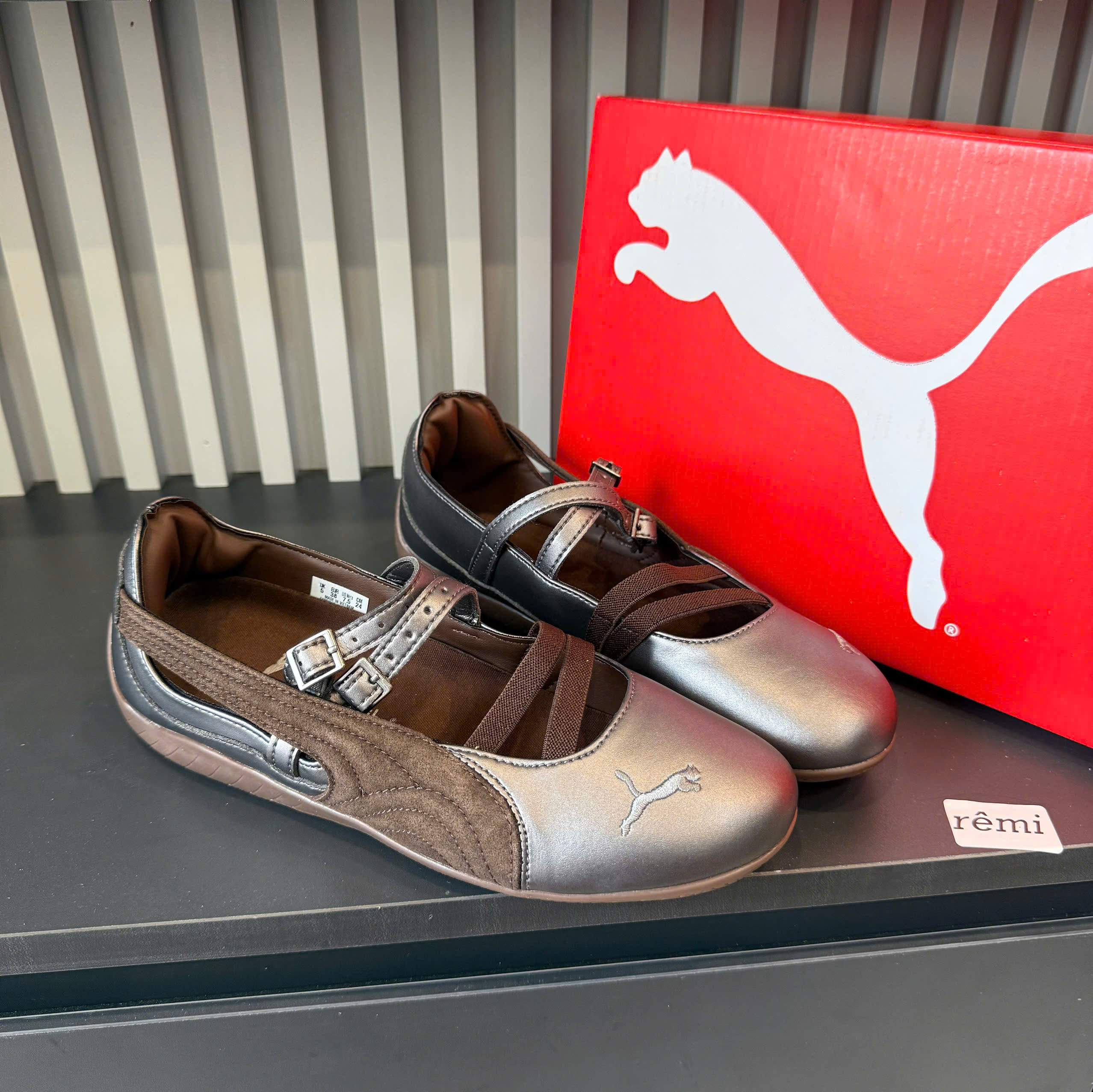 bb puma nâu mũi da