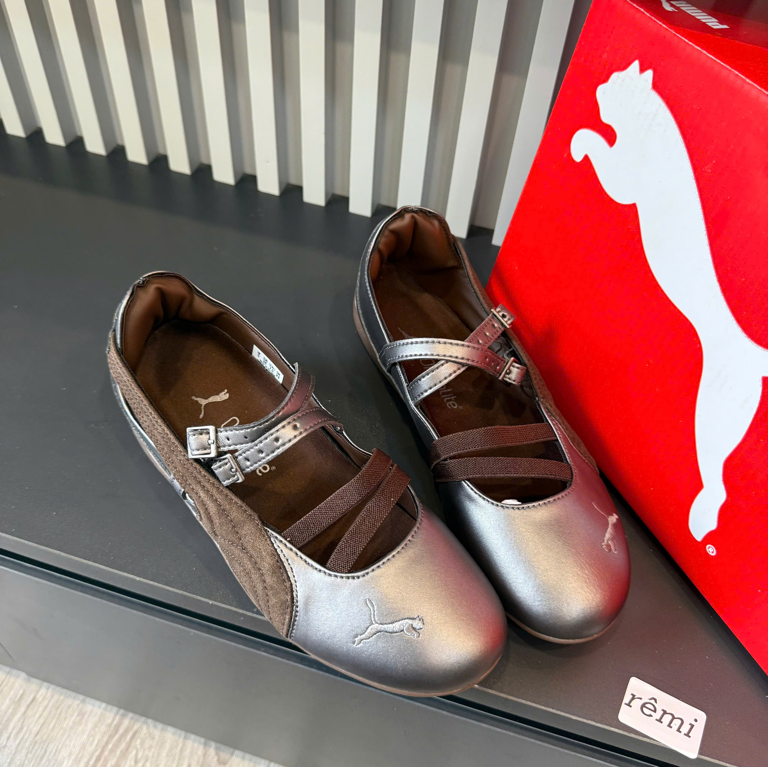 bb puma nâu mũi da