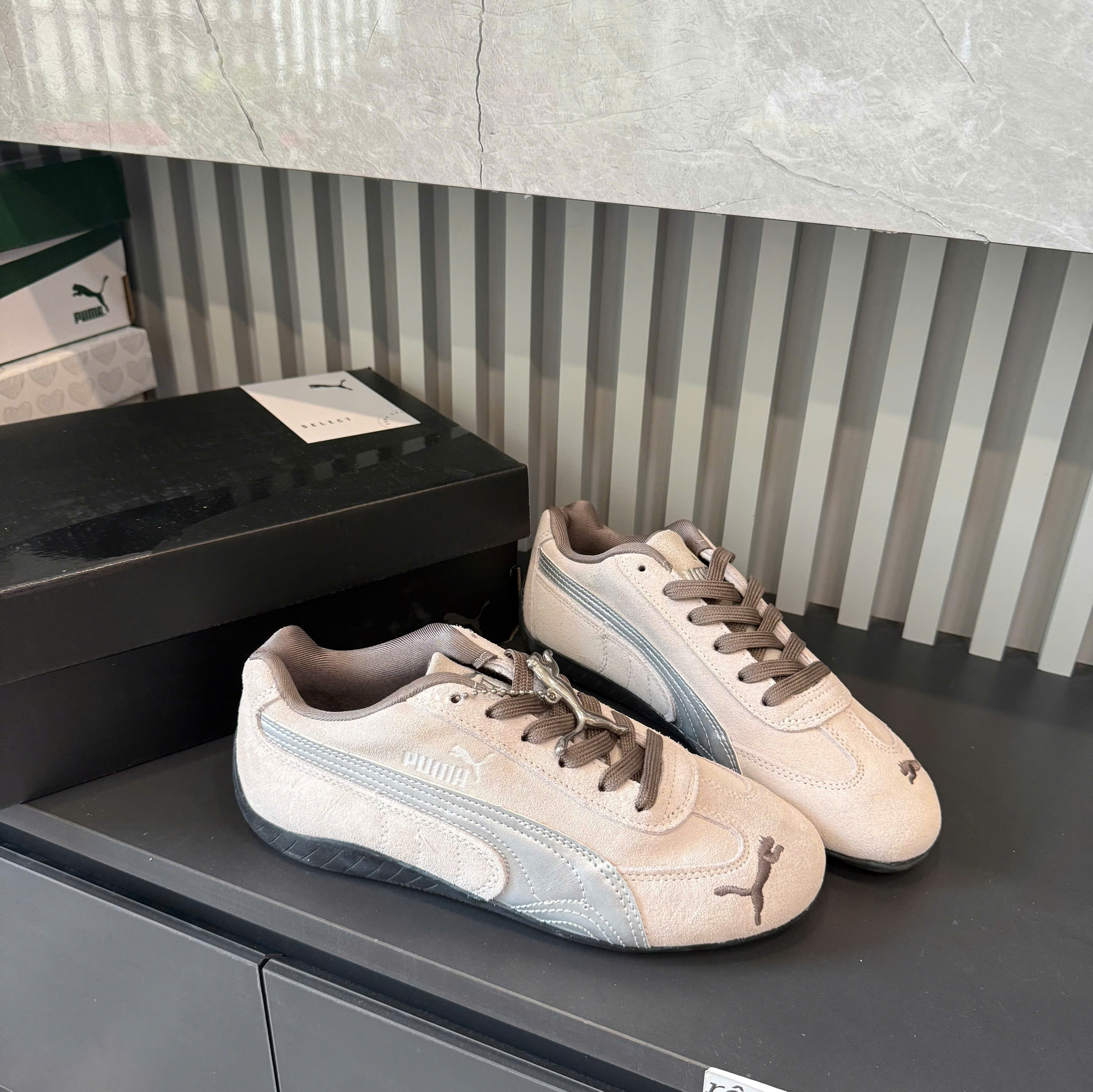 puma speedcat xám bạc