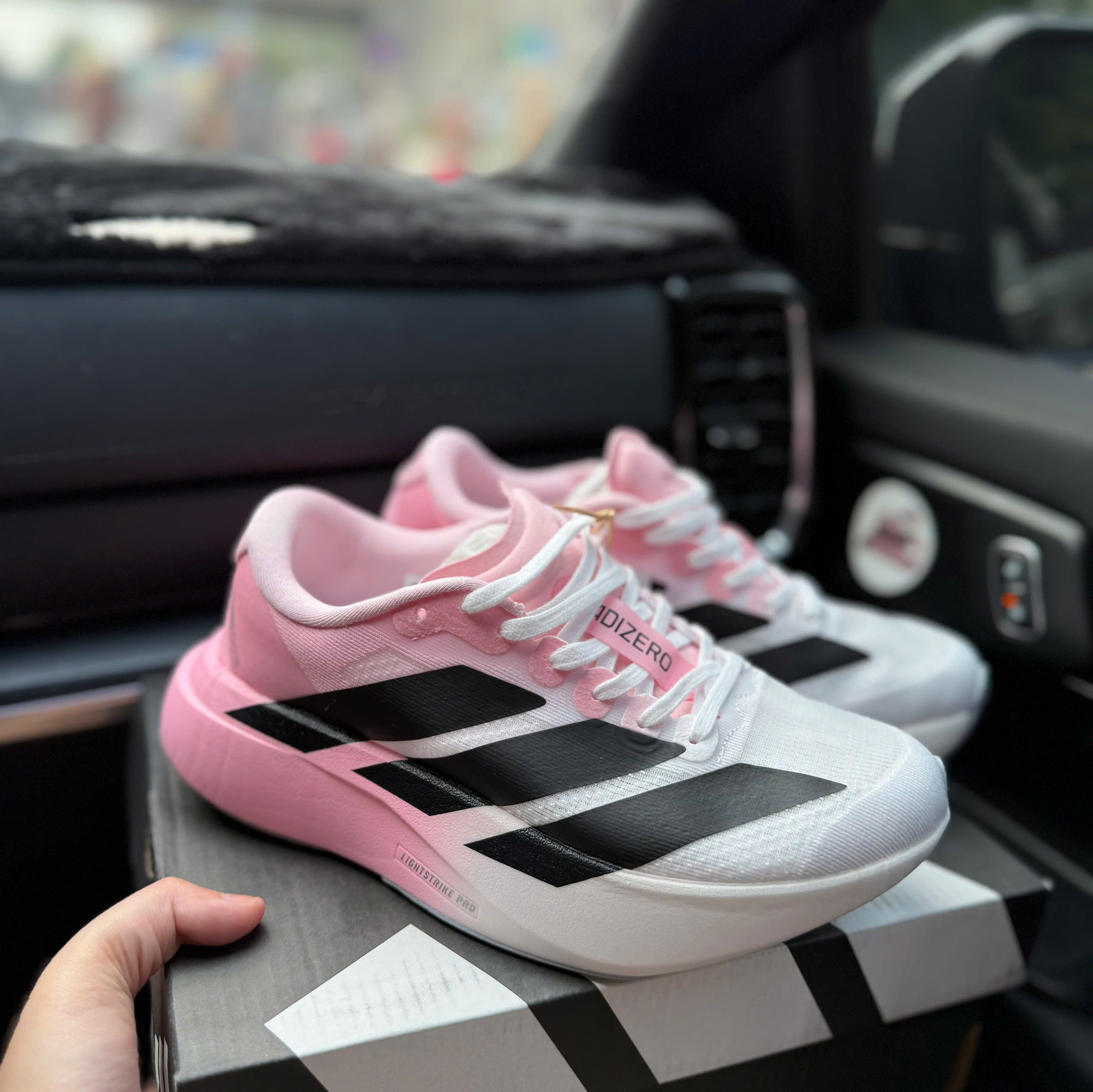 adizero evo hồng