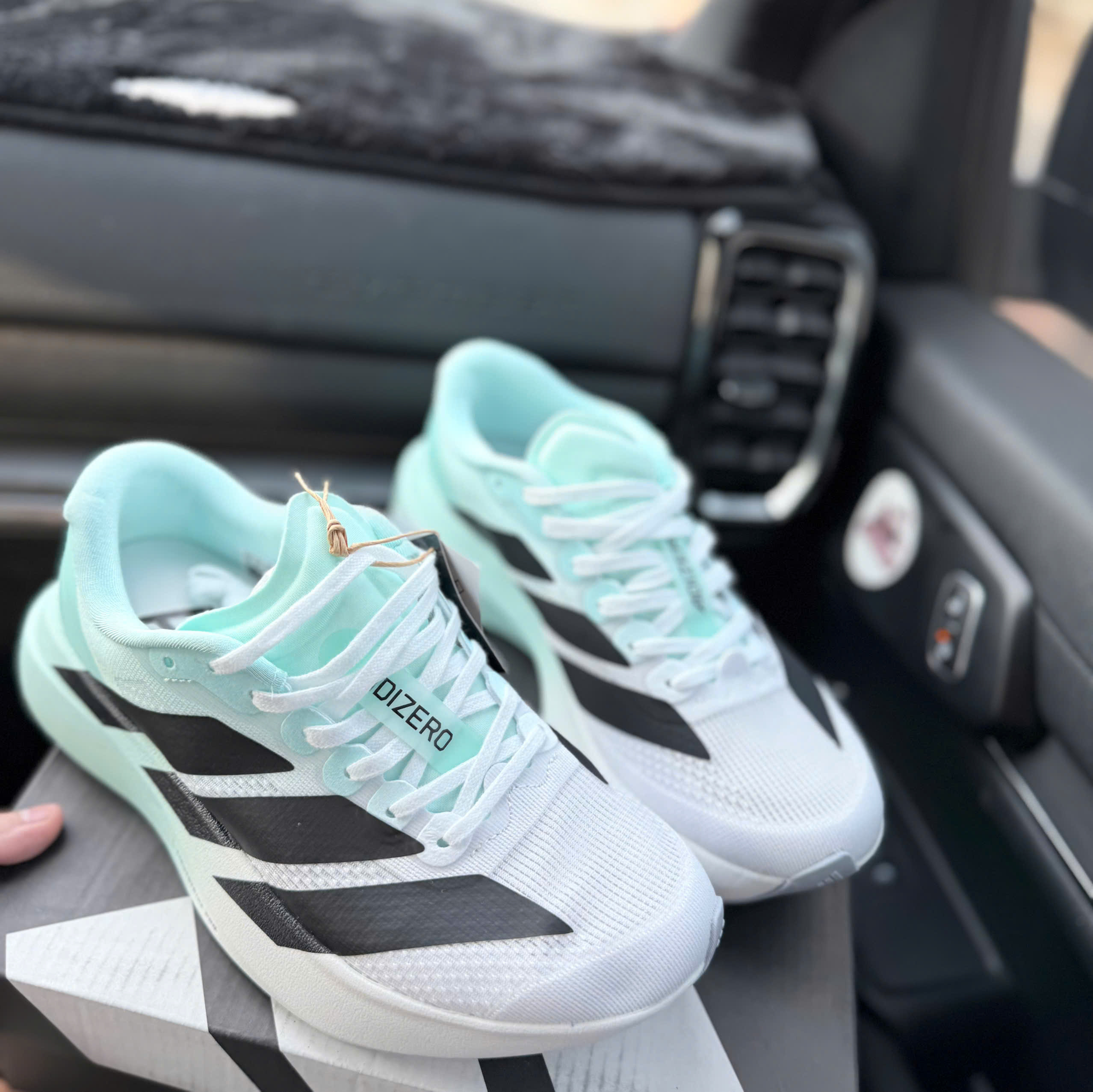 adizero evo xanh mint