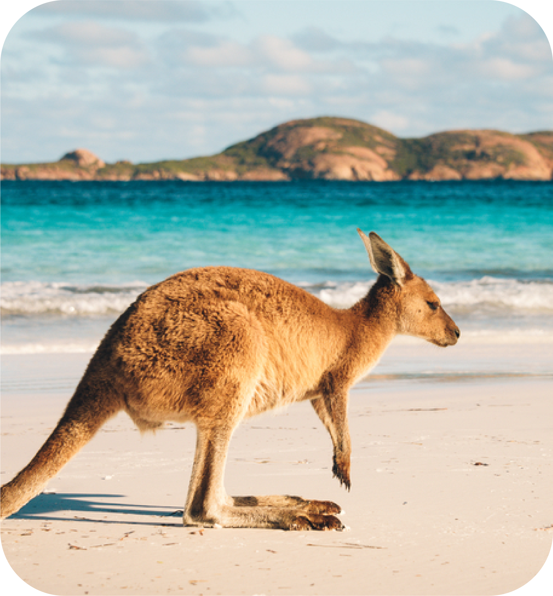 Visa Condition Waiver Applications