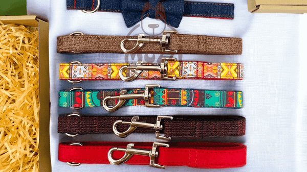 Dây dắt vòng cổ cho chó khắc tên bán chạy 2025