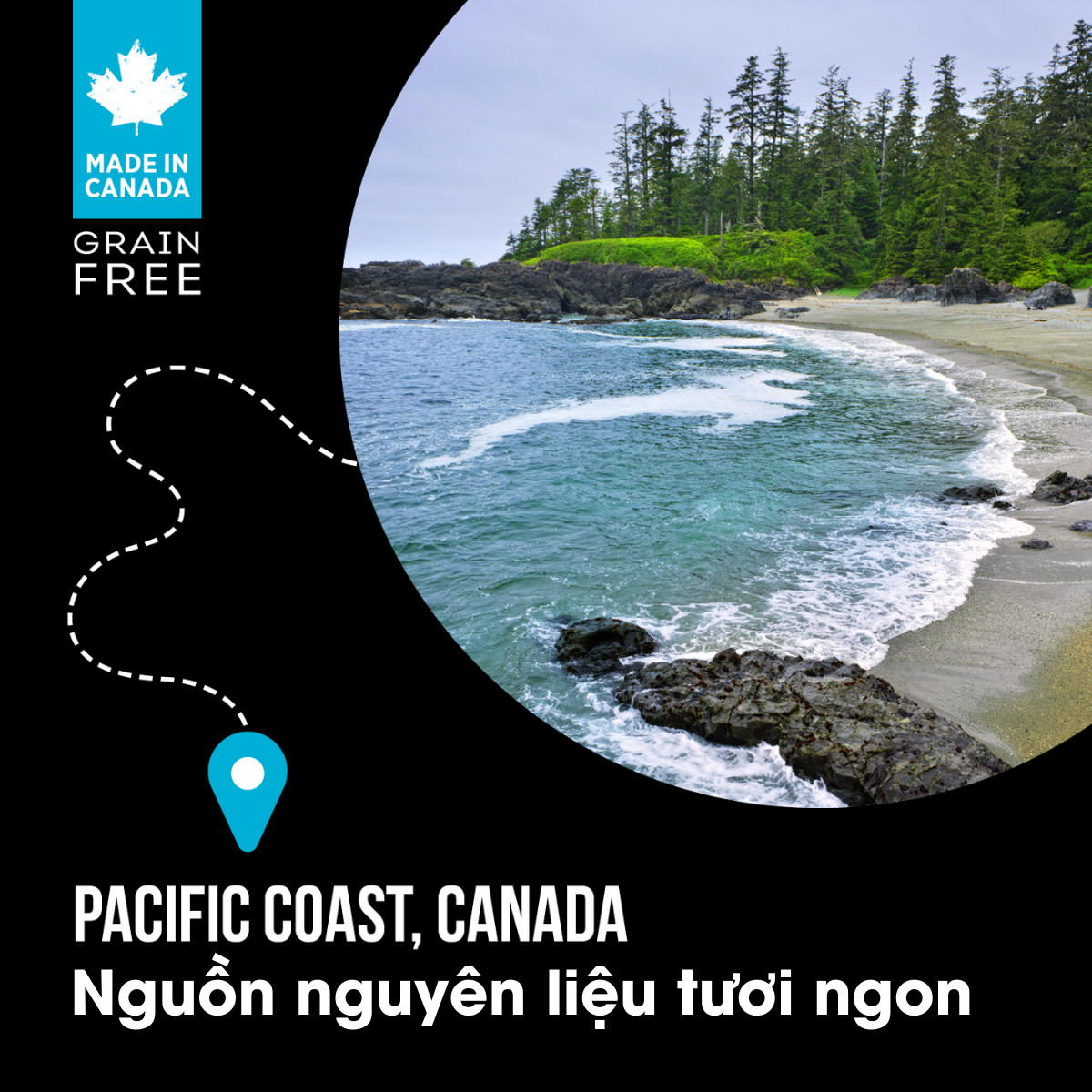 NT Subzero cho Mèo - Cá biển cao cấp và rau củ quả tự nhiên (Cho mọi giống mèo ở mọi lứa tuổi) - NEW LOOK