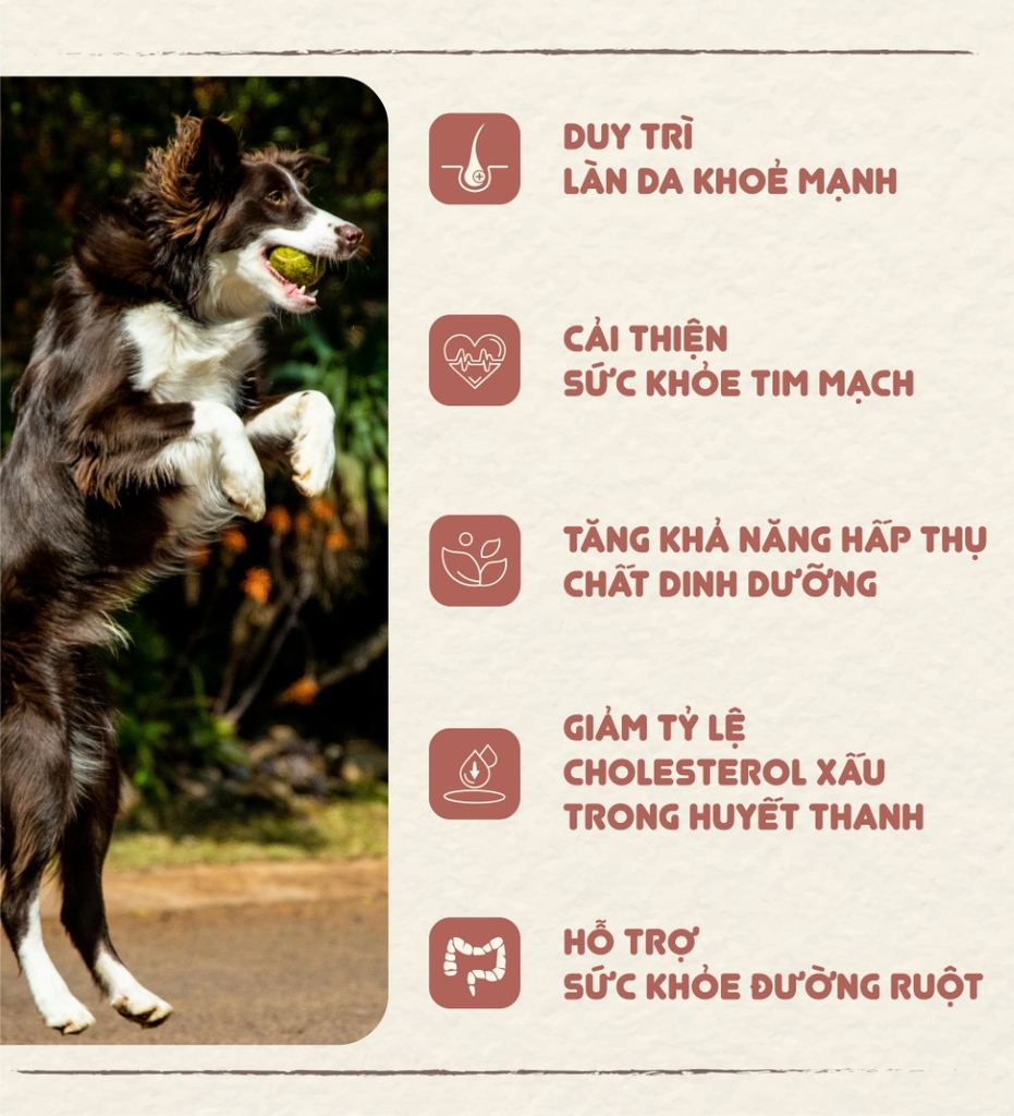 Phô mai thịt cừu Bow Wow 100g