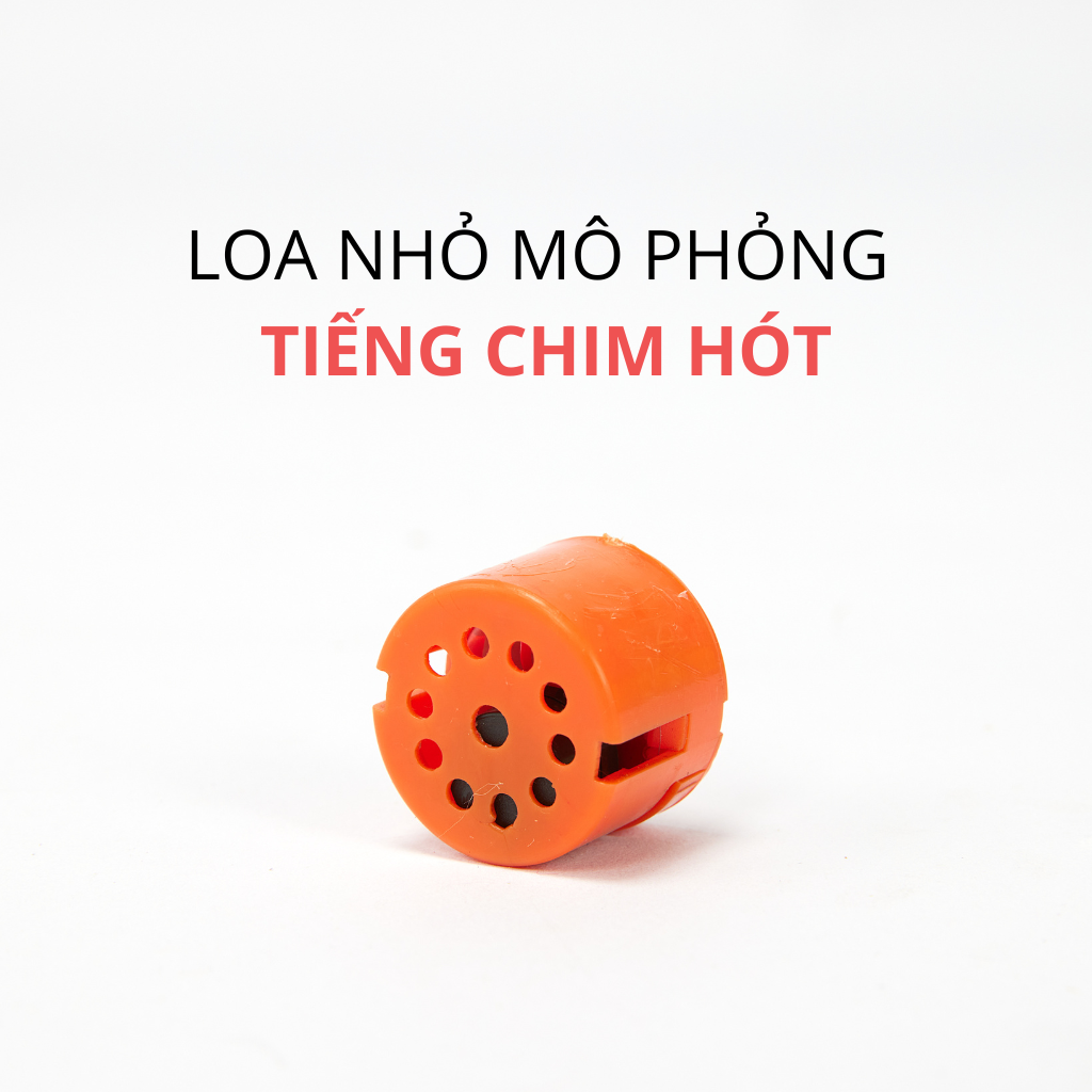 Đồ chơi chim vẹt có tiếng kêu kèm bóng catnip FOFOS