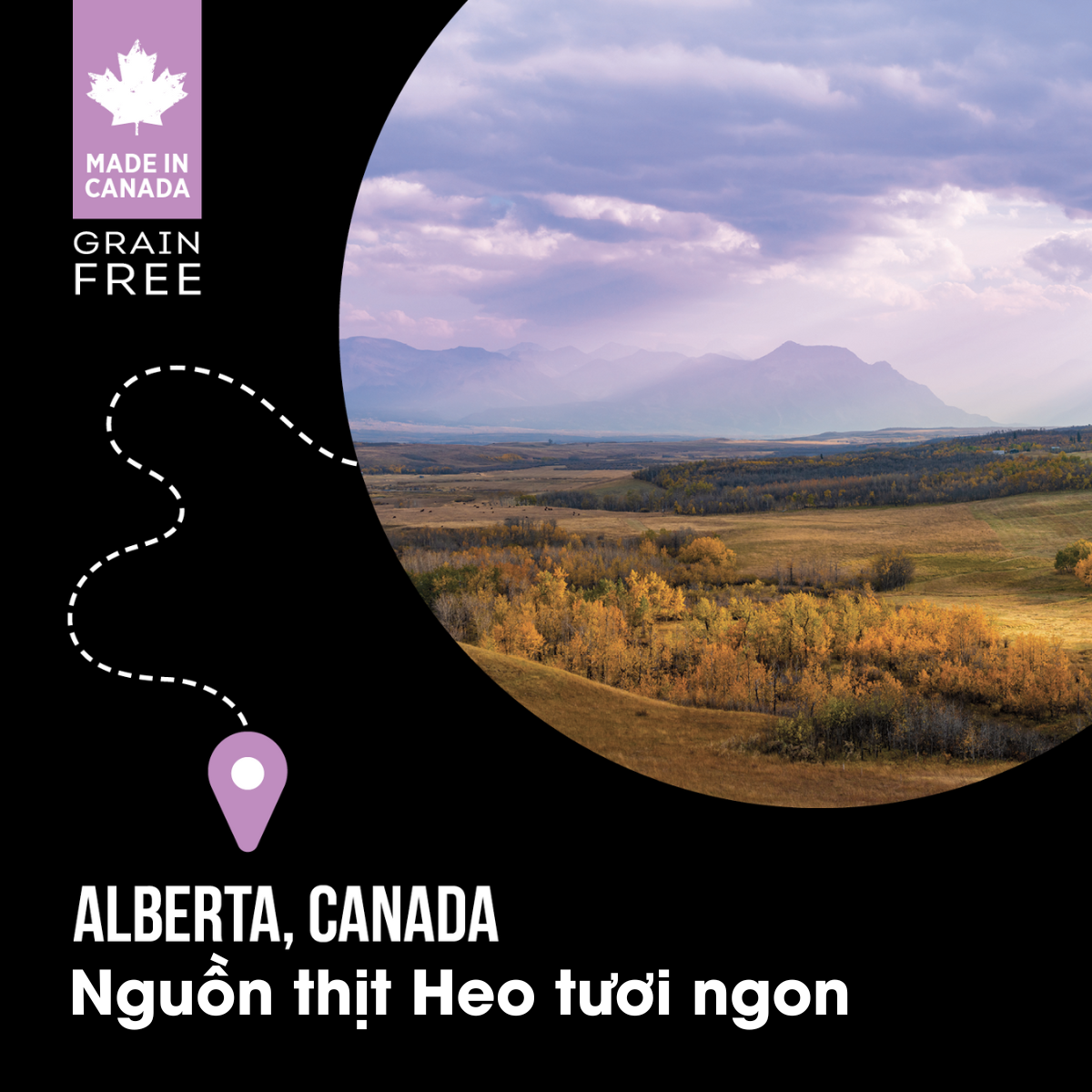 NT Subzero cho Chó - Thịt lợn, táo và rau củ quả tự nhiên (Cho mọi giống chó ở mọi lứa tuổi)