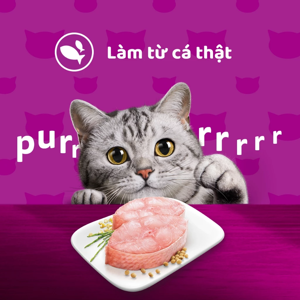 Pate mèo con Whiskas Kitten Cá Ngừ - Hộp 6 gói 80g