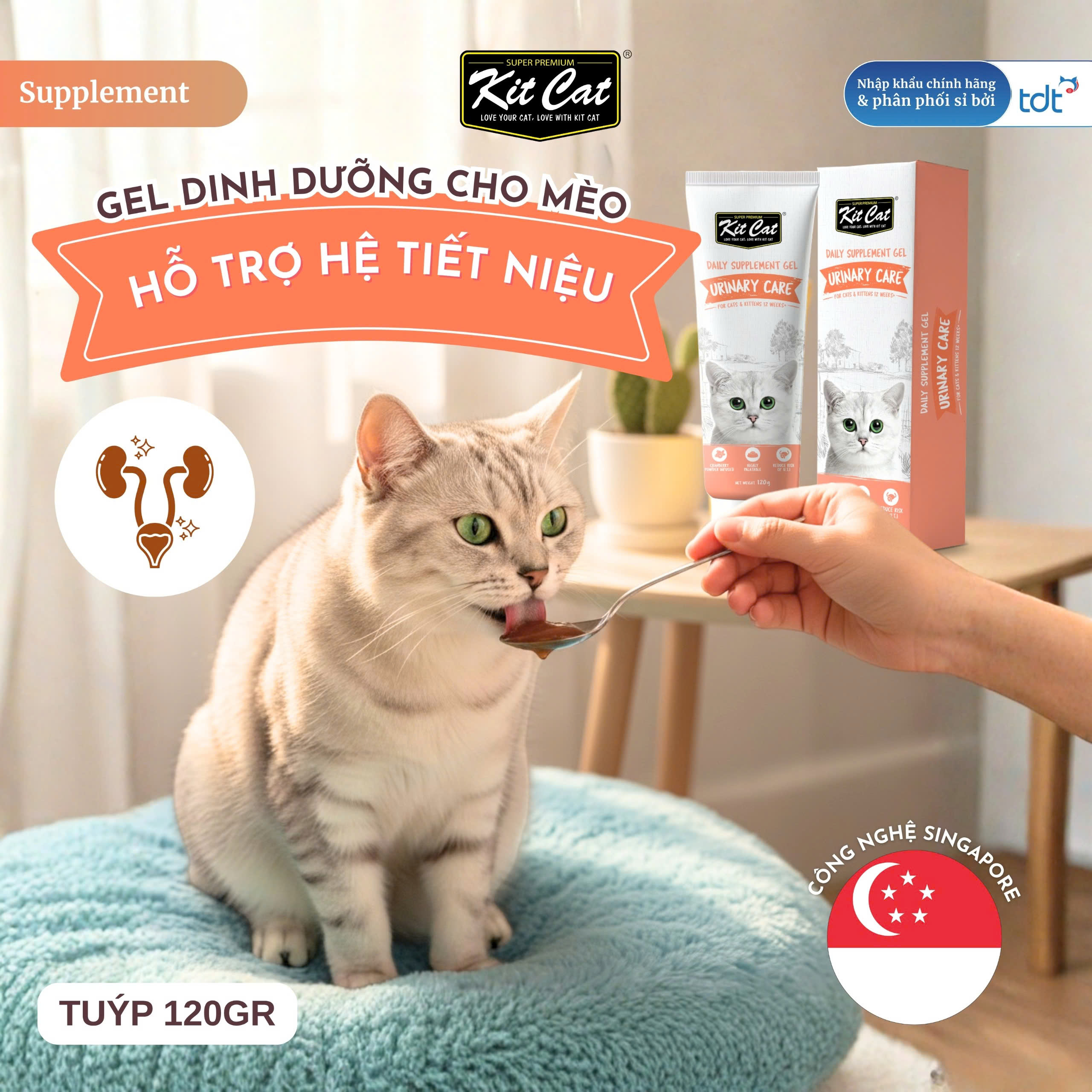 Gel dinh dưỡng Kit Cat hỗ trợ hệ tiết niệu cho mèo 120g