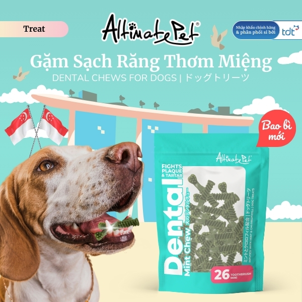 Gặm sạch răng thơm miệng Bàn chải vị Bạc hà Vừa 150g