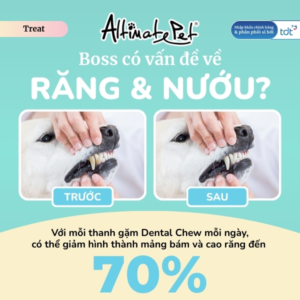 Gặm sạch răng thơm miệng Bàn chải vị Bạc hà Vừa 150g