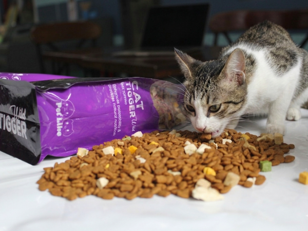 Thức ăn hạt cho mèo Cat Tigger Wild 1kg