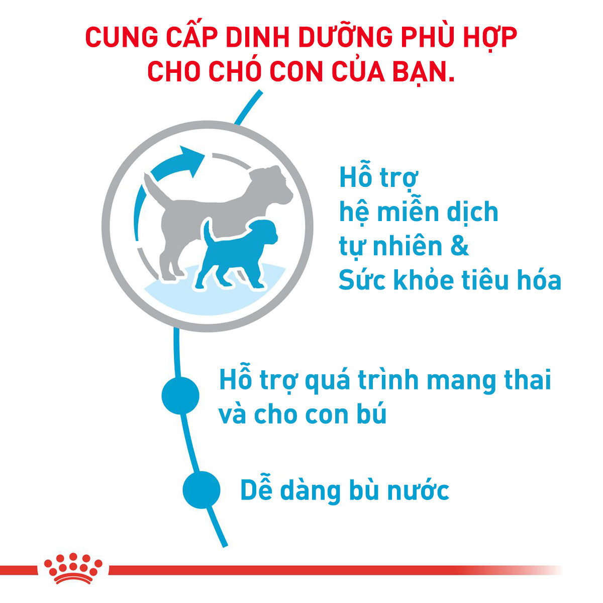 Thức ăn hạt cho chó Royal Canin - Mini Starter M&B 1kg