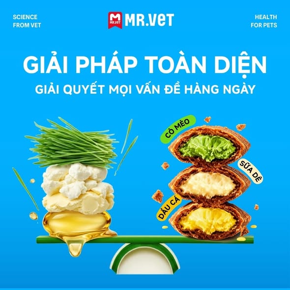 Hạt Mr.Vet Sandwich 1Kg cho Mèo mọi lứa tuổi
