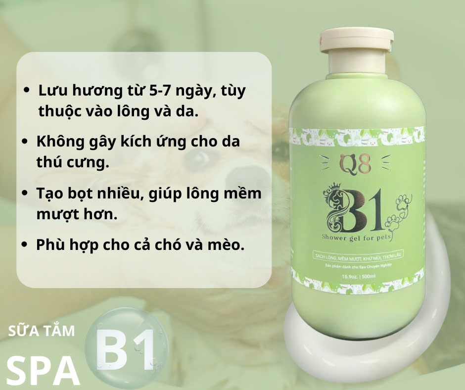 Sữa tắm B1 - Dt 500ml - Q8