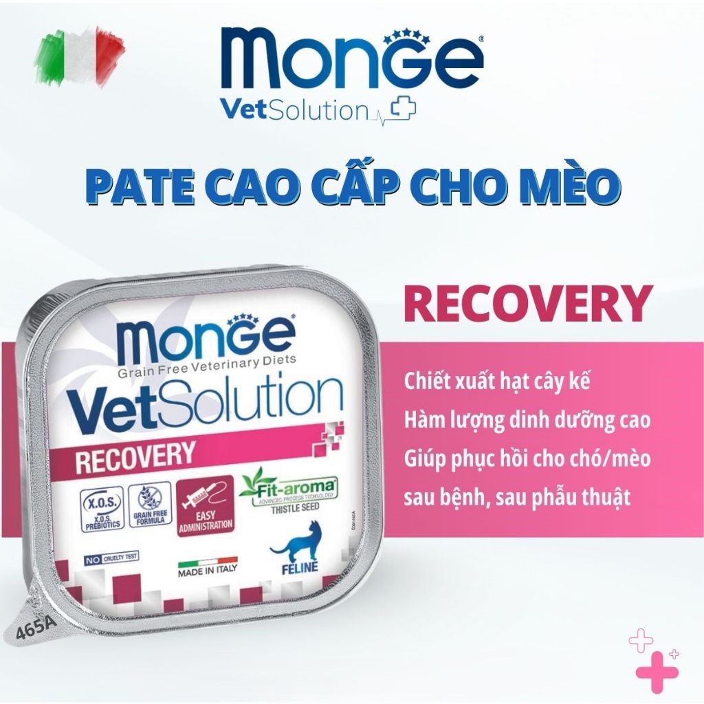 Pate mèo cao cấp Ý Monge VET Solution hộp 100g