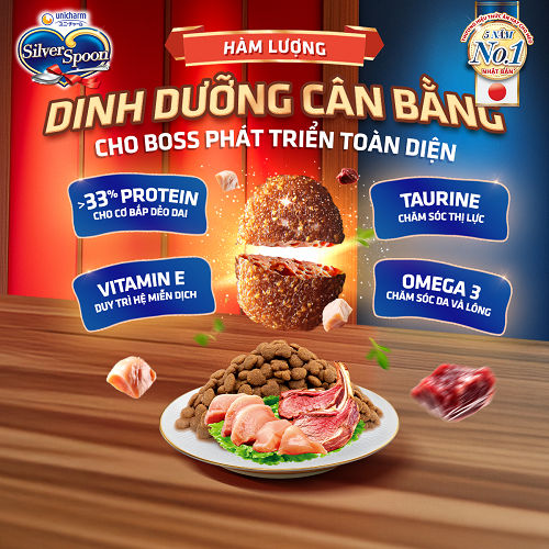 Thức ăn hạt cho mèo mọi lứa tuổi SilverSpoon vị Cá Hồi 1kg