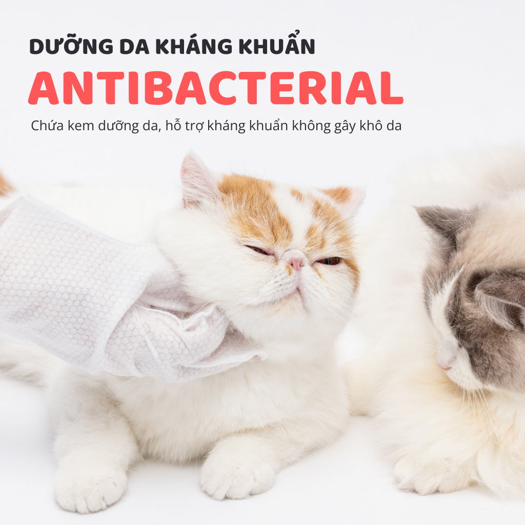 Khăn tắm dùng 1 lần cho thú cưng FOFOS