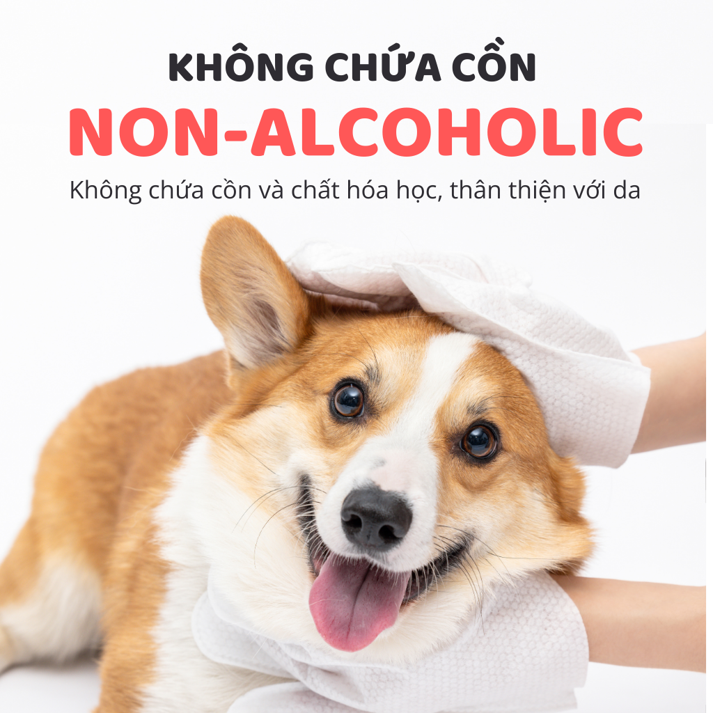 Khăn tắm dùng 1 lần cho thú cưng FOFOS