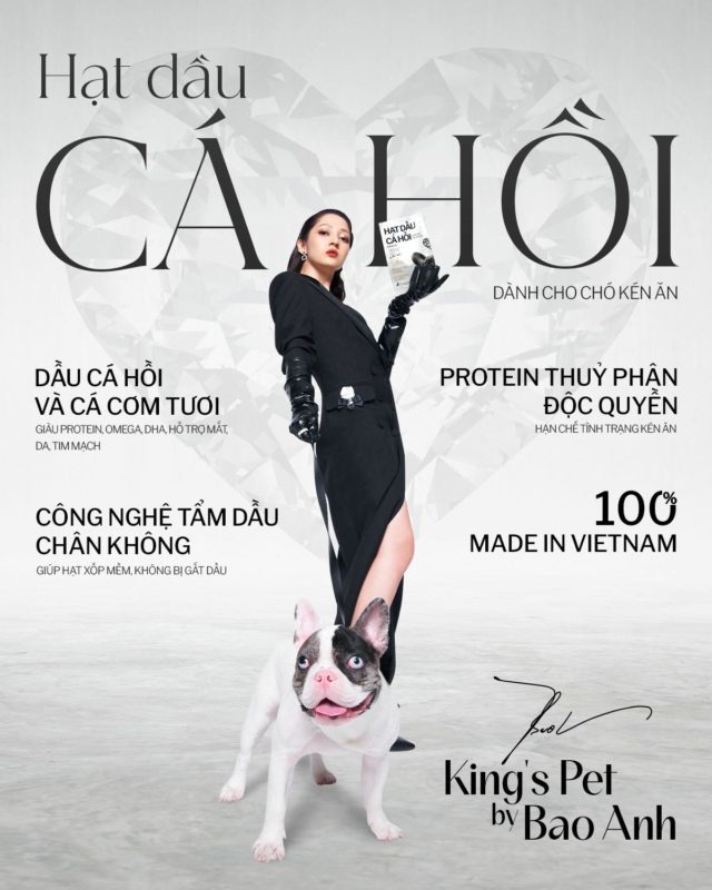 Hạt cho chó con- hạt dầu cá hồi vị sữa VS King's Pet By Bao Anh 1.4kg