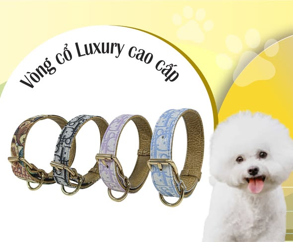 Vòng cổ Luxury cao cấp 2.5cm