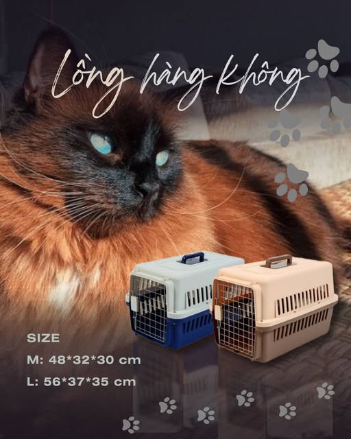 Lồng vận chuyển chó mèo T&D chất liệu bằng nhựa PP, kích thước: 66*47*56cm