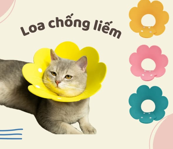 Vòng chống liếm hình hoa size 3