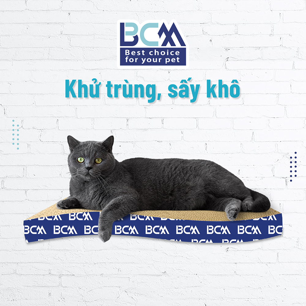 Bàn cào móng hình sóng cho Mèo BCM PET
