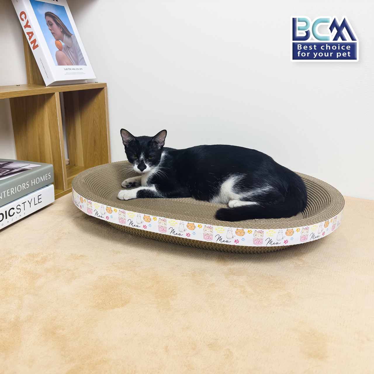 Ổ cào Elip cho Mèo BCM PET 46cm